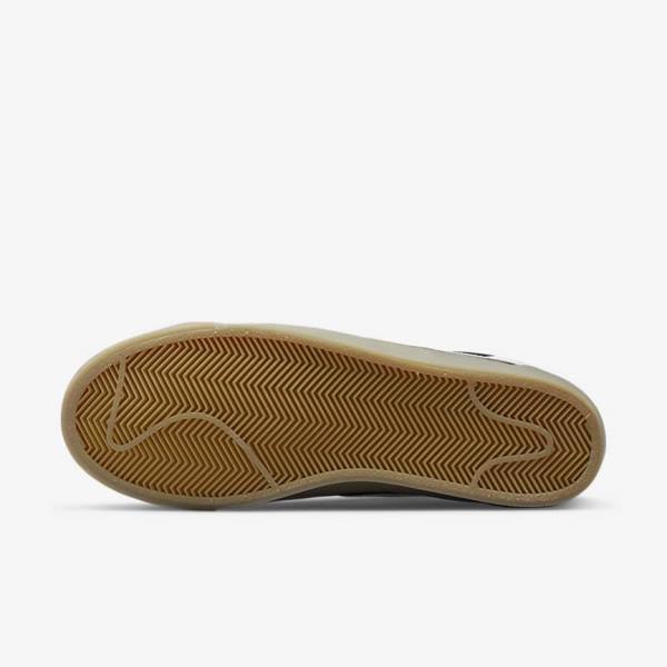 Nike SB Zoom Blazer Low Pro GT Skate Sko Dame Sort Hvide | NK816WDC